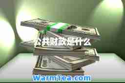 公共财政是什么