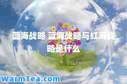 蓝海战略 蓝海战略与红海战略是什么