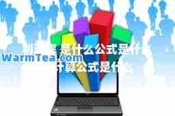 利润率 是什么公式是什么的计算公式是什么