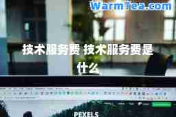 技术服务费 技术服务费是什么