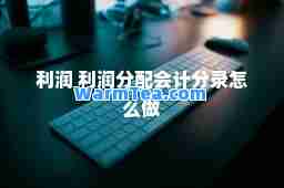 利润 利润分配会计分录怎么做