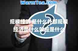 规模经济 是什么外部规模经济是什么效应是什么