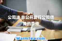 公司法 非公开发行公司债券的条件