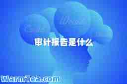 审计报告是什么