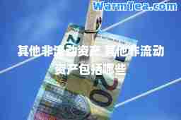 其他非流动资产 其他非流动资产包括哪些