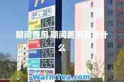 期间费用 期间费用包括什么