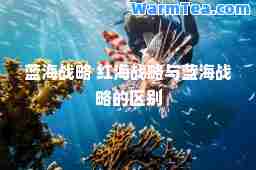 蓝海战略 红海战略与蓝海战略的区别