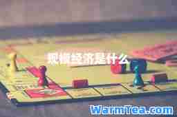 规模经济是什么