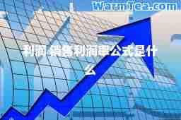 利润 销售利润率公式是什么