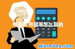 市盈率 市盈率怎么算的