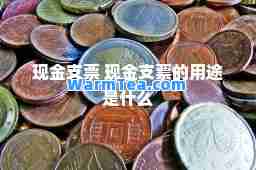 现金支票 现金支票的用途是什么