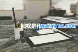 股权是什么意思