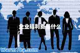 企业福利费是什么