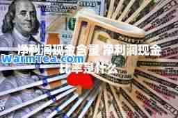 净利润现金含量 净利润现金比率是什么