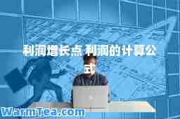 利润增长点 利润的计算公式