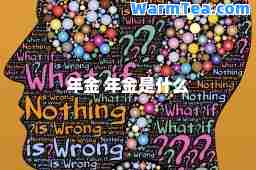 年金 年金是什么