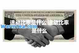 速动比率是什么 速动比率是什么