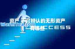 资产 不可辨认的无形资产有哪些