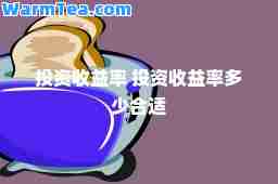 投资收益率 投资收益率多少适