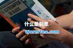什么是制单