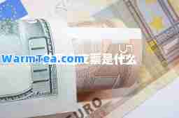 兑现金支票是什么