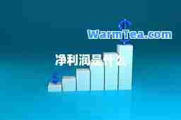 净利润是什么