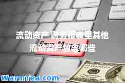 流动资产 财务报表里其他流动资产包含哪些