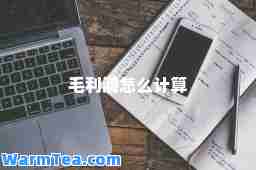 毛利润怎么计算