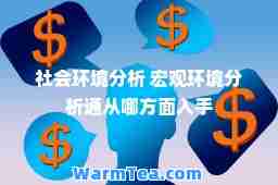 社会环境分析 宏观环境分析通从哪方面入手