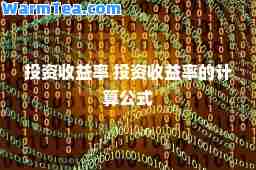 投资收益率 投资收益率的计算公式