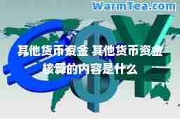 其他货币资金 其他货币资金核算的内容是什么