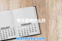 审计是做什么的