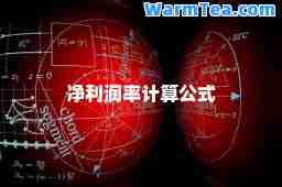 净利润率计算公式