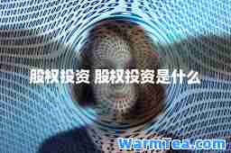 股权投资 股权投资是什么