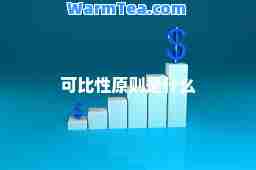 可比性原则是什么