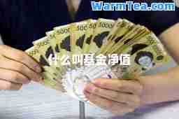 什么叫基金净值