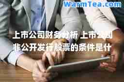 上市公司财务分析 上市公司非公开发行股票的条件是什么