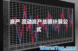 资产 流动资产总额计算公式