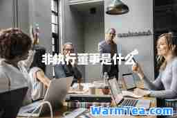 非执行董事是什么
