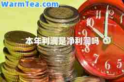 本年利润是净利润吗