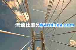流动比率分析是什么