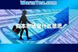 资本市场是什么意思