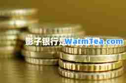 影子银行是什么意思