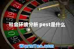 社会环境分析 pest是什么