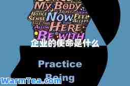 企业的使是什么
