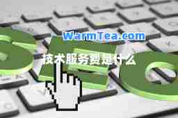 技术服务费是什么