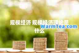 规模经济 规模经济理论是什么
