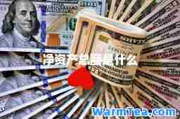 净资产总额是什么