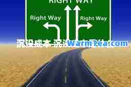 沉没成本 沉没成本是什么