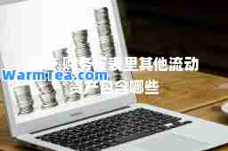 资产 财务报表里其他流动资产包含哪些